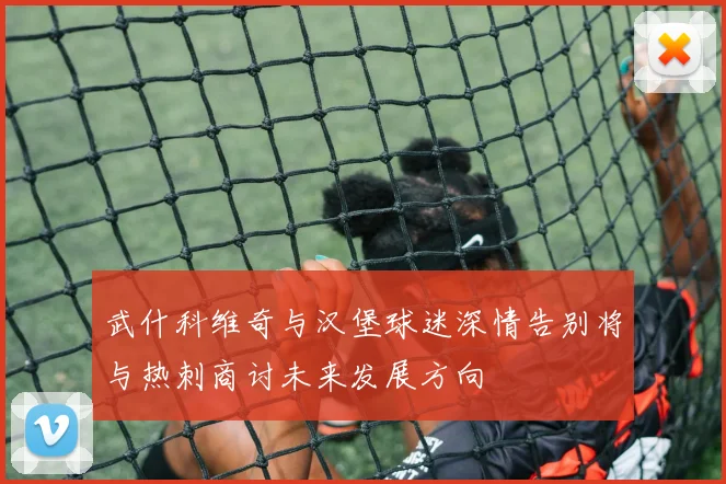 武什科维奇与汉堡球迷深情告别将与热刺商讨未来发展方向